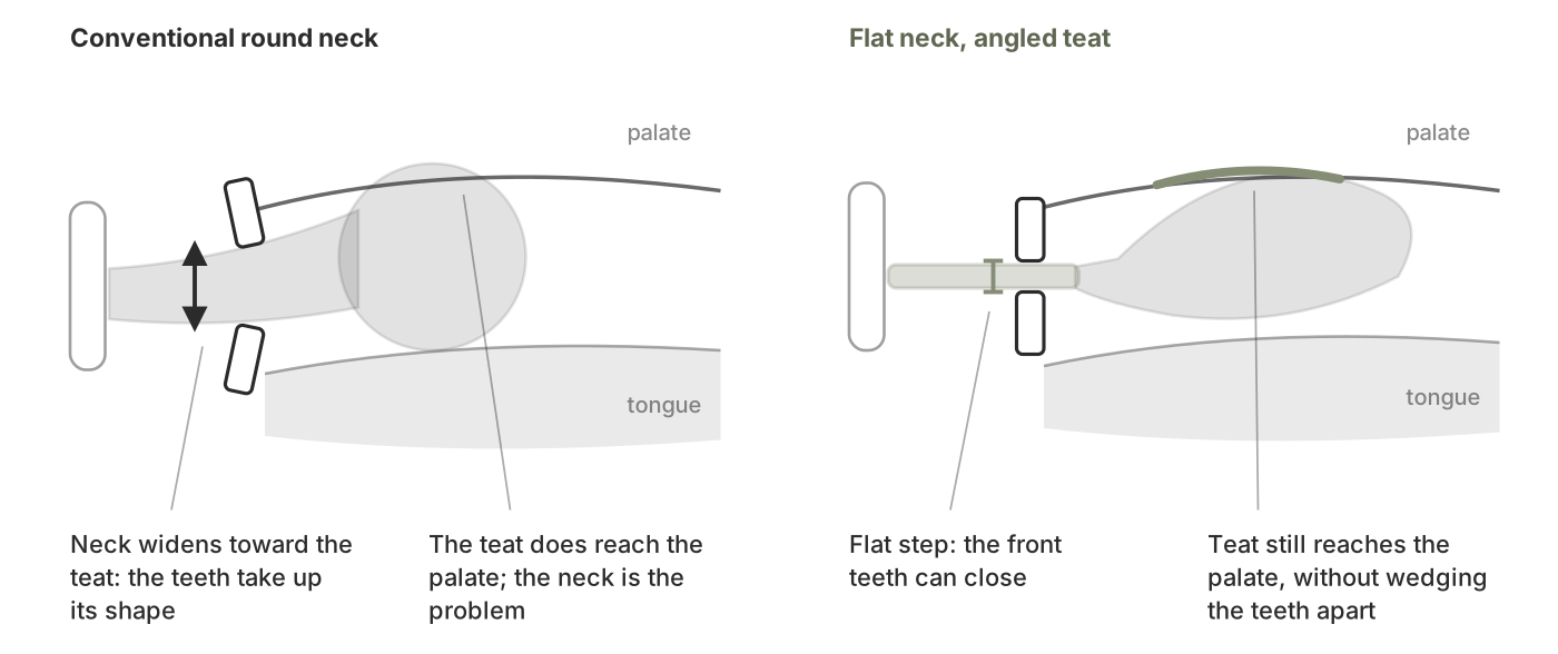 Side view comparing a conventional dummy whose neck widens gradually into a round teat so the front teeth splay around it, with a flat-necked dummy thin enough at the teeth for them to close, both teats reaching the palate